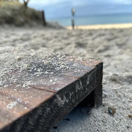 Hébergement de vacances Haus Schwalbennest