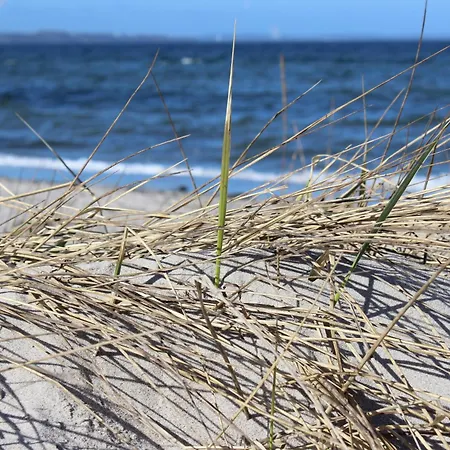 Hébergement de vacances Haus Schwalbennest